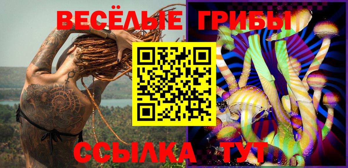 Псилоцибиновые грибы MAGIC MUSHROOMS Вологда