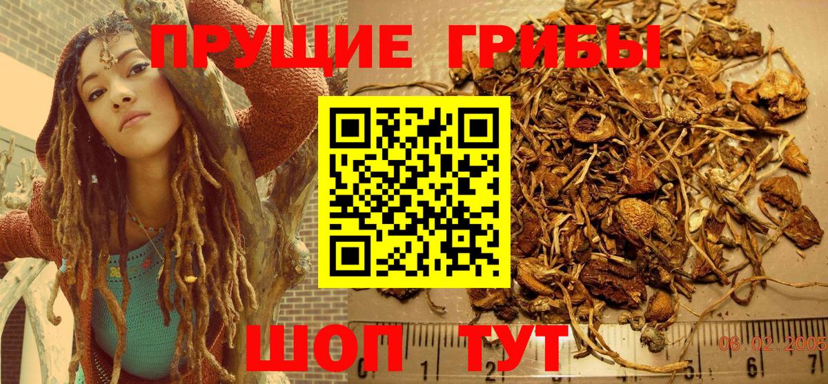 Вологда  Галлюциногенные грибы мухоморы  Вход с VPN 